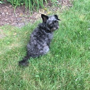 Meet your Posher, Cindy